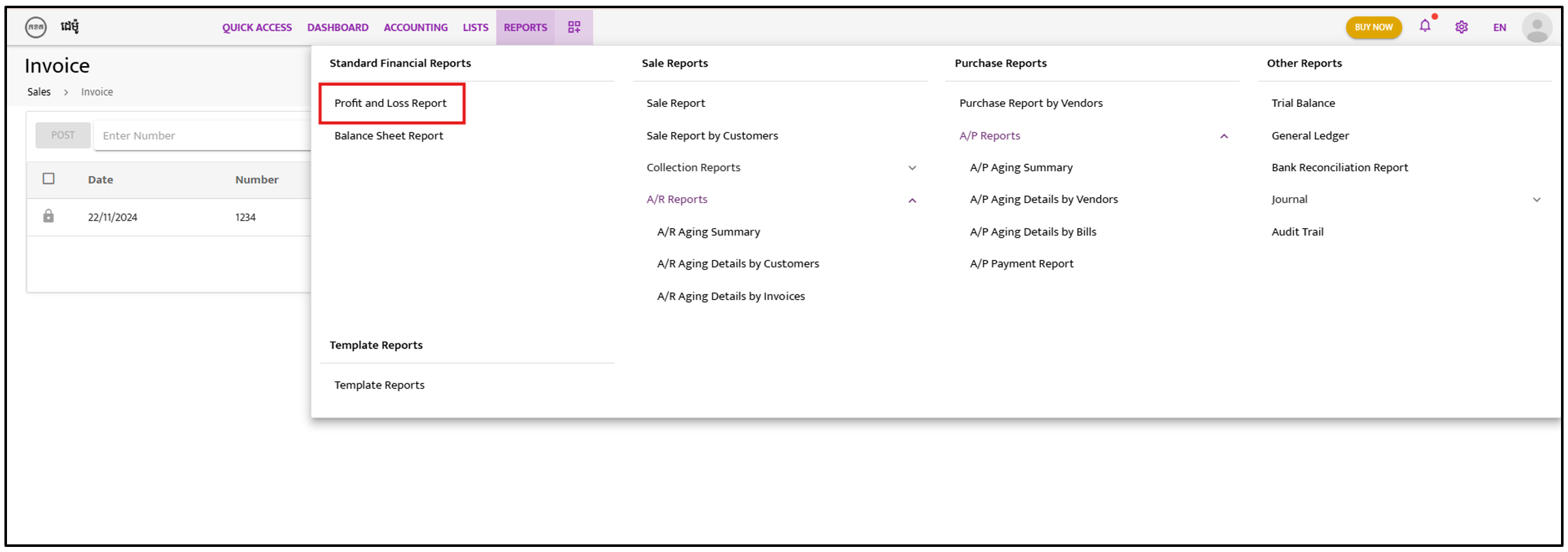 Profit and Loss Report